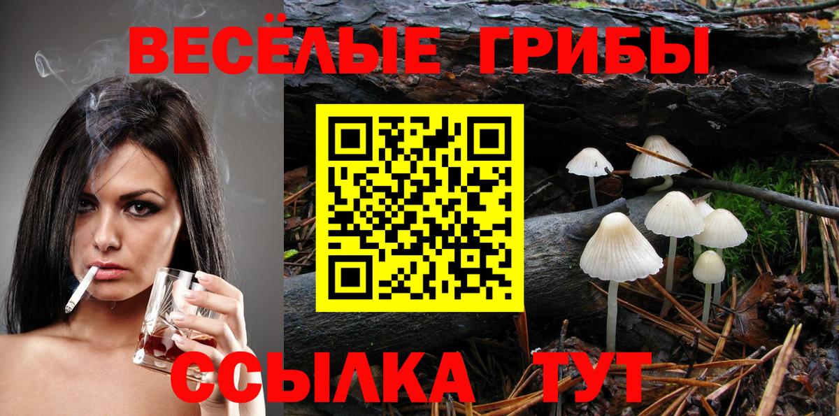 Псилоцибиновые грибы мухоморы Ирбит